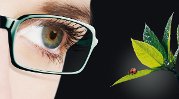 Essilor-f-360_PageIcon